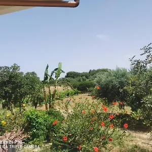 Vacanze Baglio Sances Appartamento Birgi Vecchi